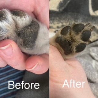 Paw Wax Tin